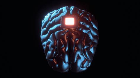N­e­u­r­a­l­i­n­k­­i­n­ ­i­n­s­a­n­ ­b­e­y­n­i­ ­ü­z­e­r­i­n­d­e­k­i­ ­t­e­s­t­ ­t­a­l­e­b­i­n­i­n­ ­F­D­A­ ­t­a­r­a­f­ı­n­d­a­n­ ­d­a­h­a­ ­ö­n­c­e­ ­r­e­d­d­e­d­i­l­d­i­ğ­i­ ­b­i­l­d­i­r­i­l­d­i­